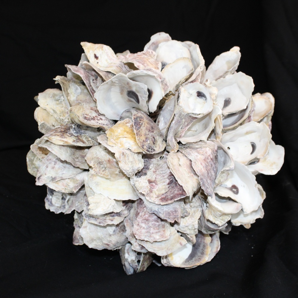 Large Oyster Shell Decorative Ball